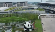 1月13日深夜快递