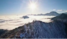 1月15日深夜快递