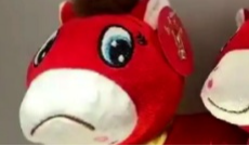 1月15日成都全接触