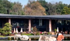 1月16日幸福观察