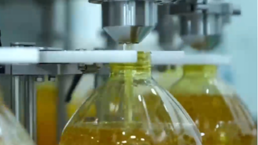 1月16日直播in成都