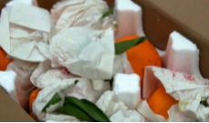 要“绿”更要“真” 蒲江零容忍打假 守护“地标”金字招牌