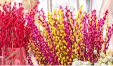 1月19日成都全接触