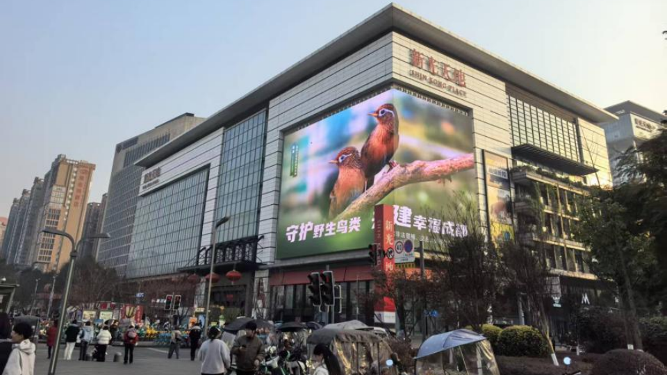 聚焦数起涉鸟类保护典型案例：“捕网”终变“法网”