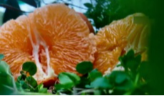 1月20日深夜快递