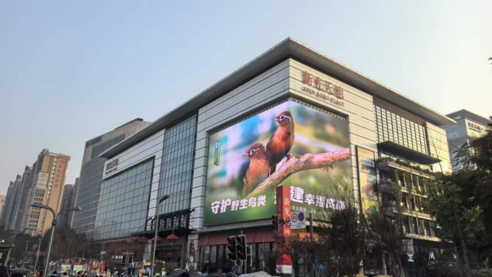 让586种野生鸟类在公园城市安心栖居 成都做了什么？