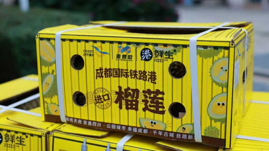 两会观察⑦丨从0到61.62亿元！青白江区属国企“贸”得好