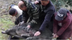 1月22日养老全接触