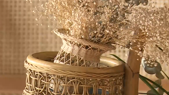 以藤为丝，编织千年文化