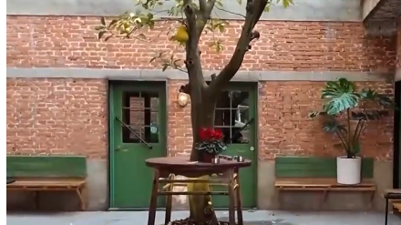 1月26日直播in成都