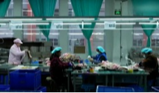 1月26日幸福观察