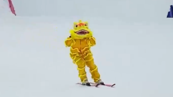 1月26日运动成都