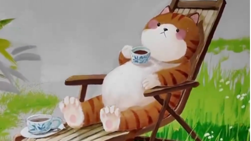 1月28日直播in成都