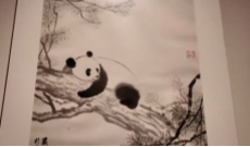 1月28日成都全接触