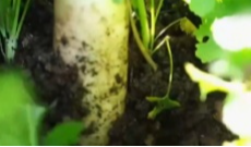 1月30日幸福观察