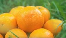 2月2日幸福观察