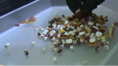 2月3日养老全接触