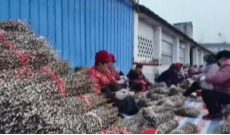 2月3日幸福观察