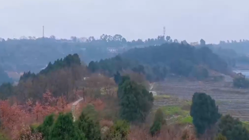 2月3日运动成都