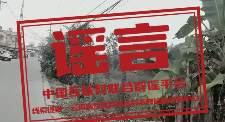 中央网信办会同国家医保局整治网上涉医药虚假信（2026·02·06）