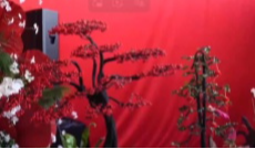 2月5日成都全接触