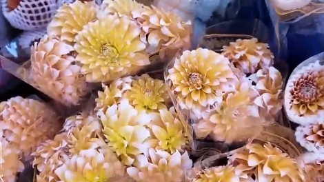 2月6日直播in成都