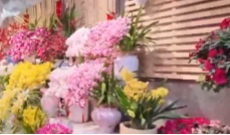 2月9日直播in成都