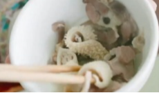 三件宝餐厅·内蒙羊肉