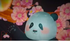 2月12日成都全接触