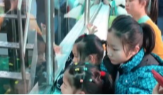 2月12日幸福观察