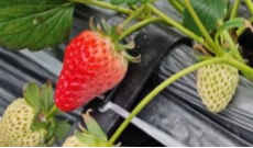 2月13日幸福观察