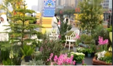 2月13日深夜快递