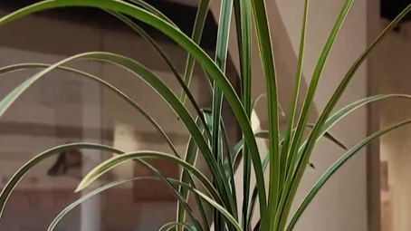 2月25日直播in成都