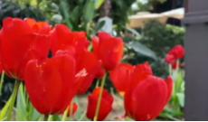 2月26日深夜快递