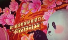 2月26日幸福观察