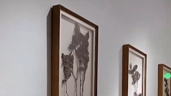 2月26日直播in成都