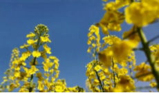 2月27日深夜快递