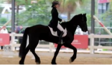 2月27日幸福观察