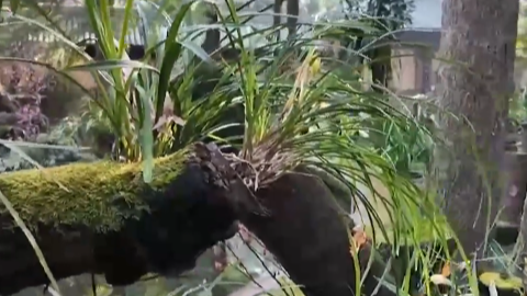 2月27日直播in成都