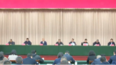 3月1日养老全接触