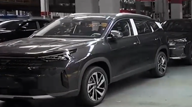 3月2日直播in成都