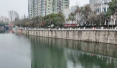 3月3日深夜快递