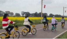 3月4日幸福观察