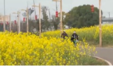 2026年3月4日《幸福社区》