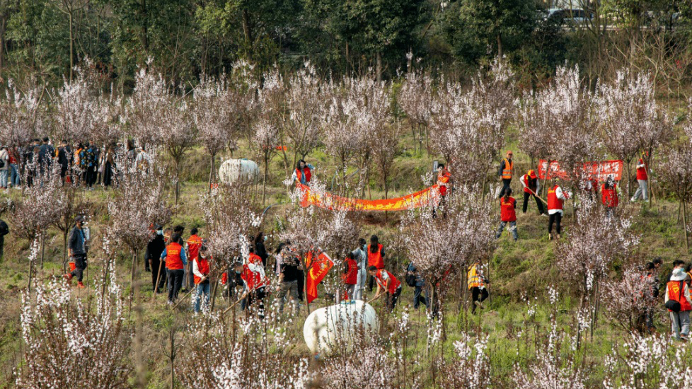 植此青绿 共赴春约 | 各区市县植树点位合集出炉！N种方式打开成都的春天