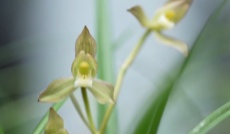 3月6日幸福观察