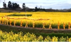 3月9日成都全接触