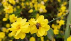 2026年3月9日《幸福社区》