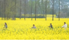 3月11日成都全接触