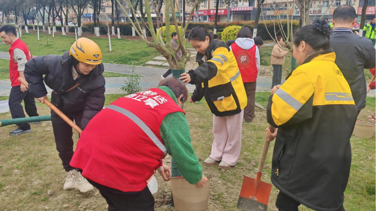 合作街道：播种绿色希望 共筑生态家园
